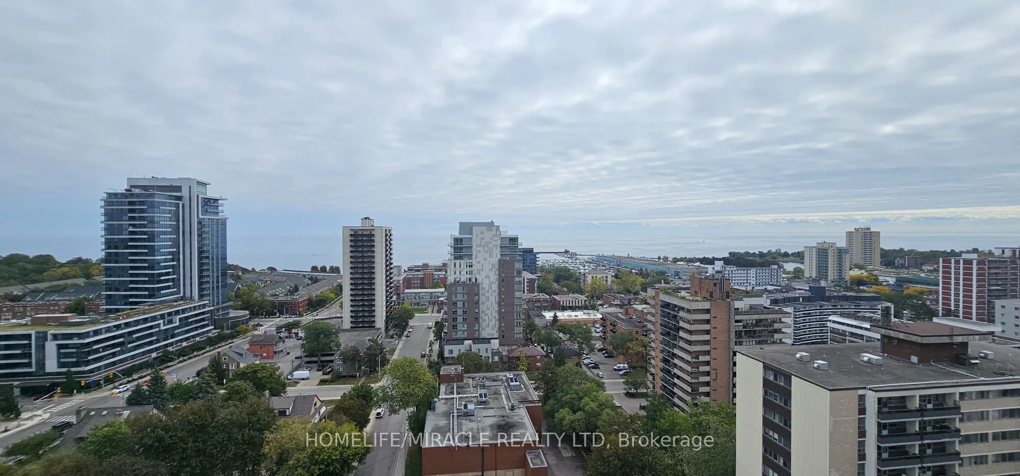 28 Ann Street #615
