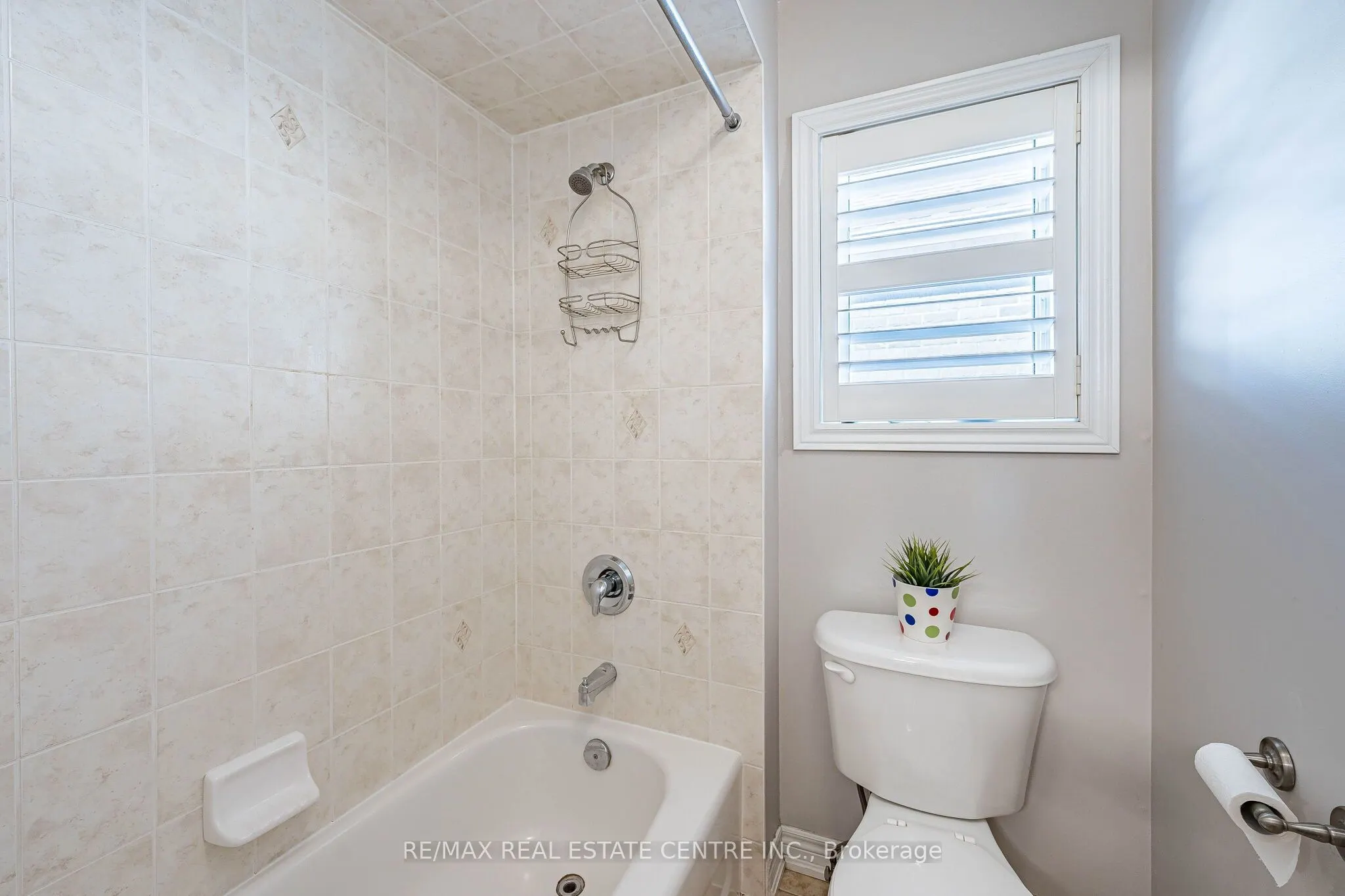 14 Morenci Court