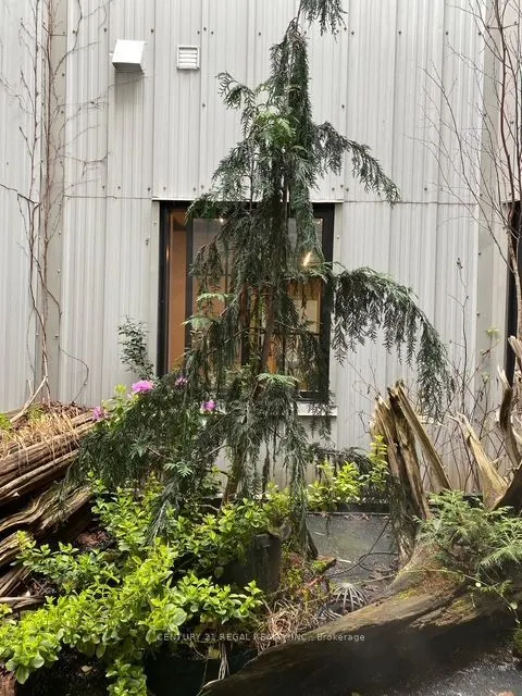 1564 Queen Street W #2nd Floor