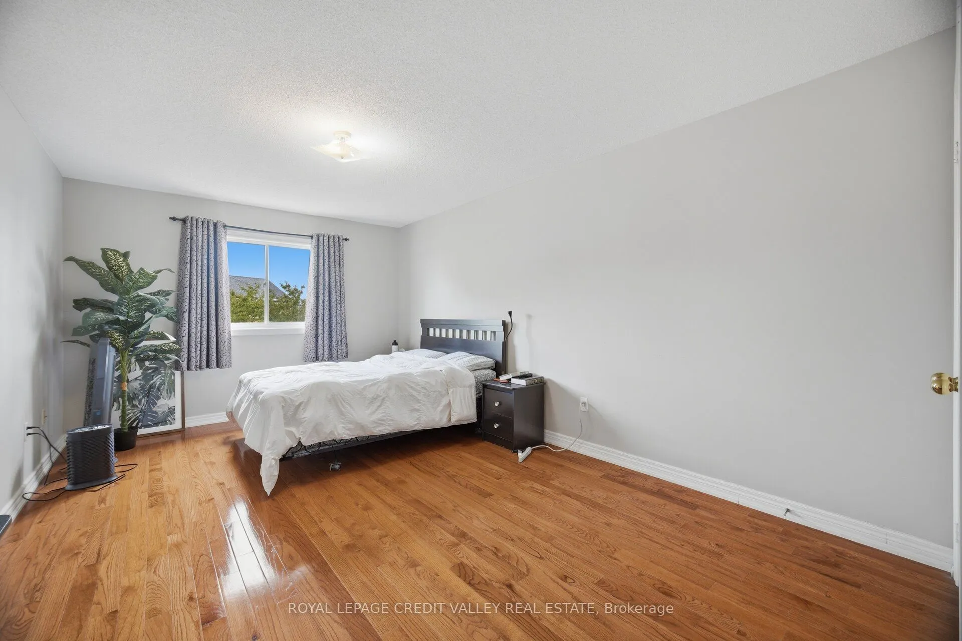7443 Russian Olive Close