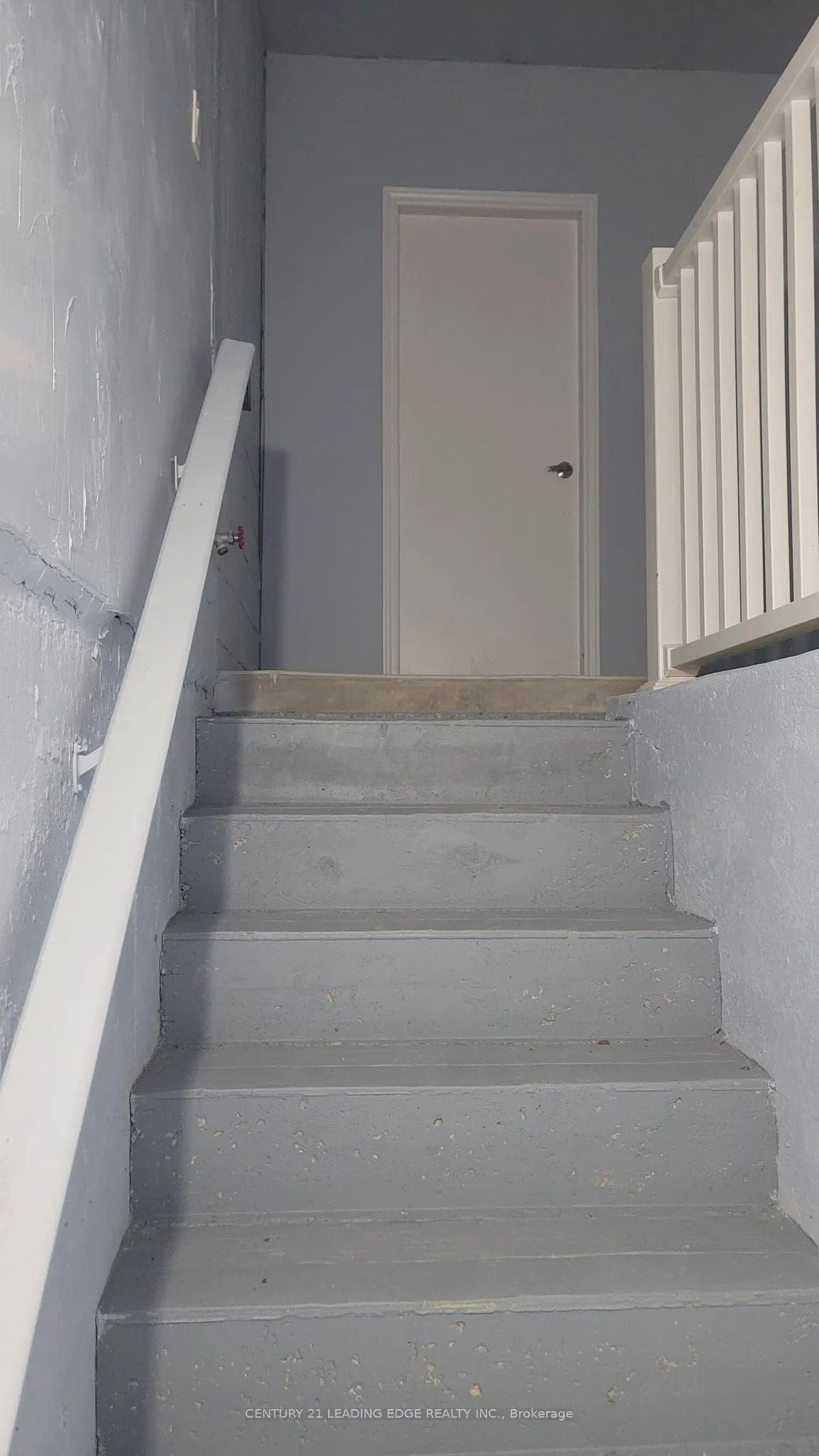 45 Abell Drive #BSMT