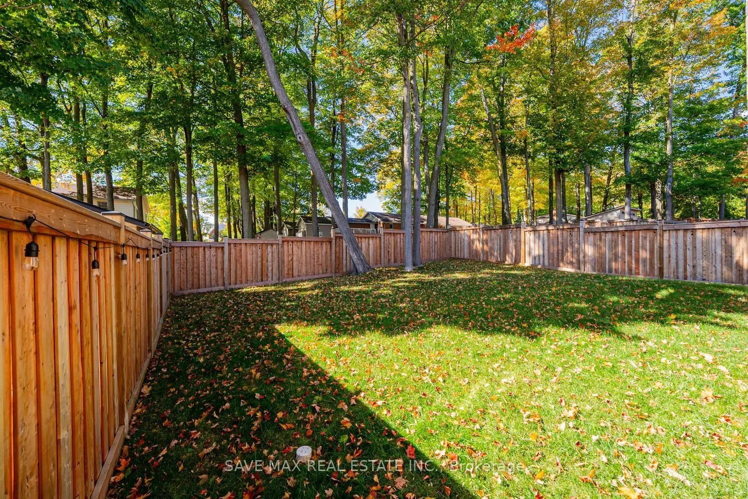 10 Daisy Meadow Crescent