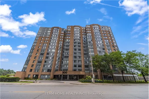 300 Webb Drive