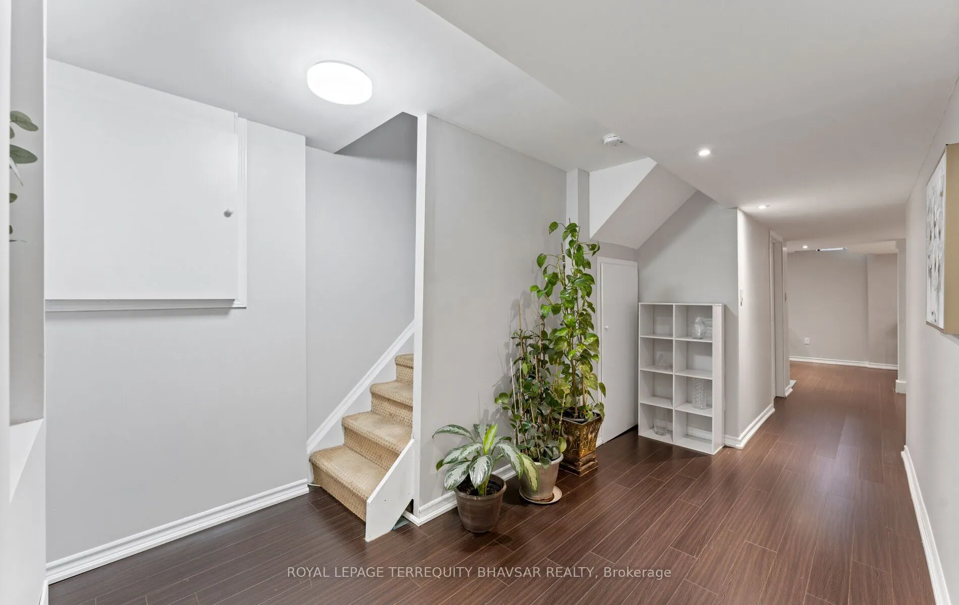 6559 Sapling Trail