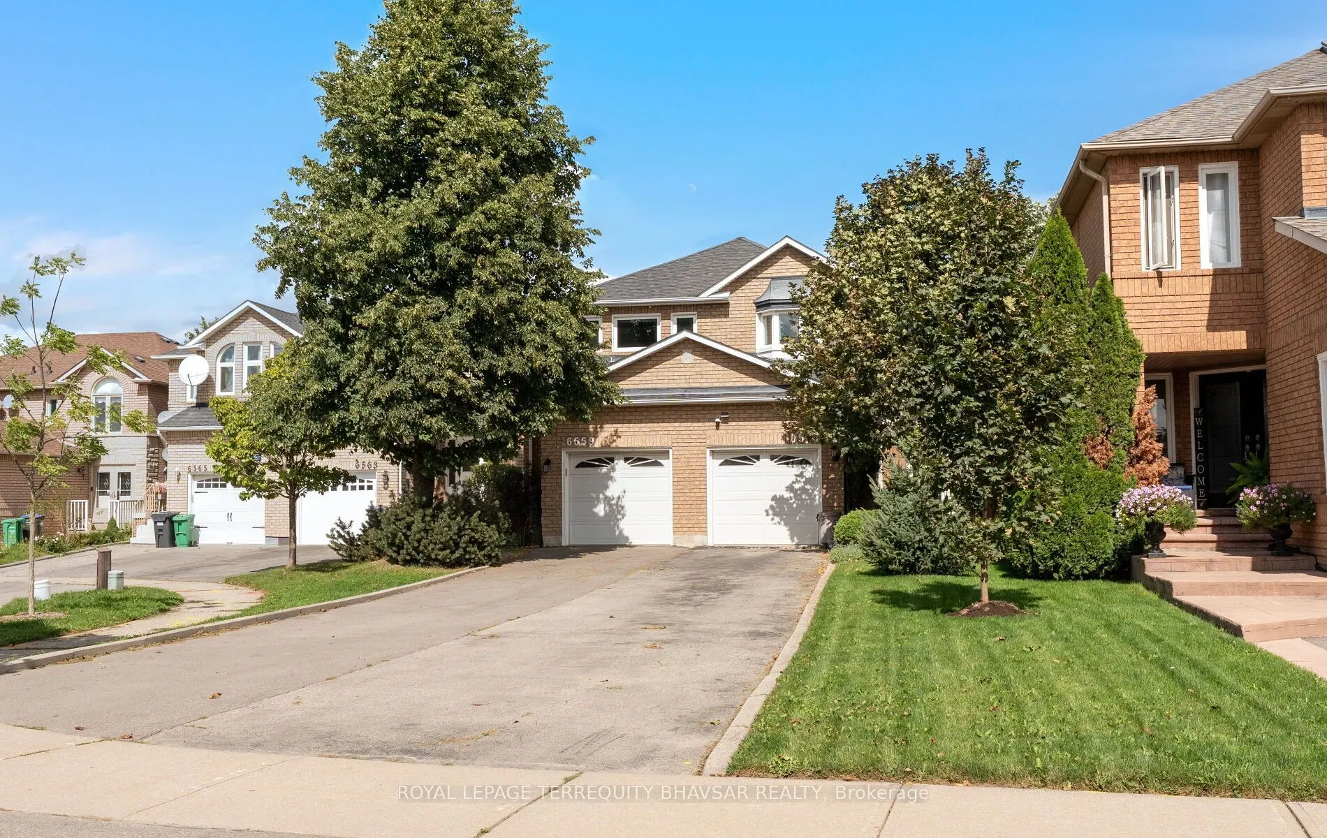 6559 Sapling Trail