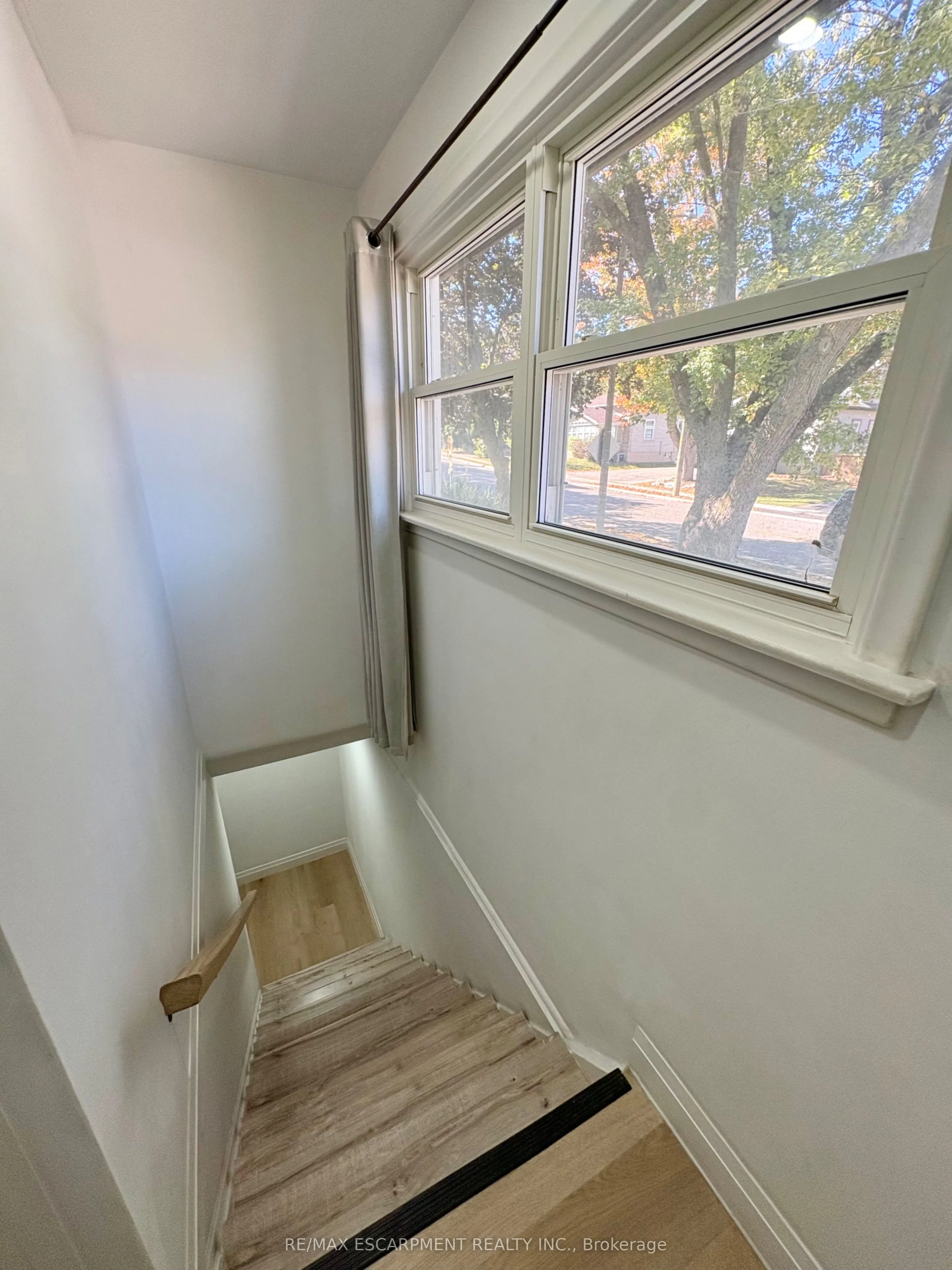 292 Woodward Avenue #Lower
