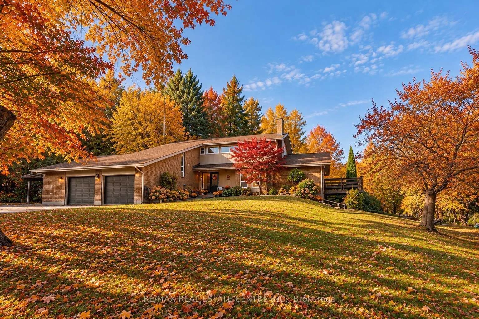 1 Cedar Drive