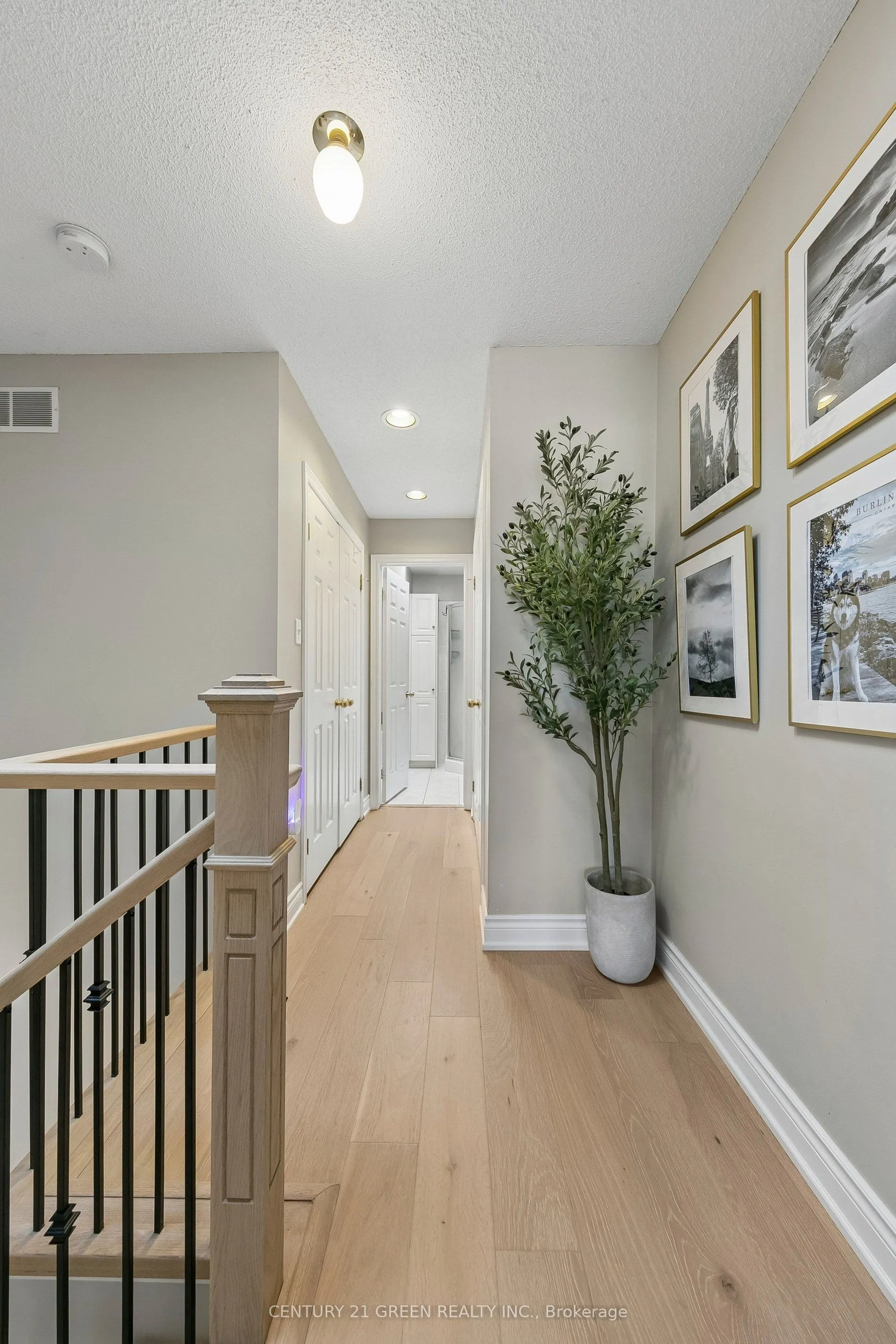 2024 Grovetree Lane
