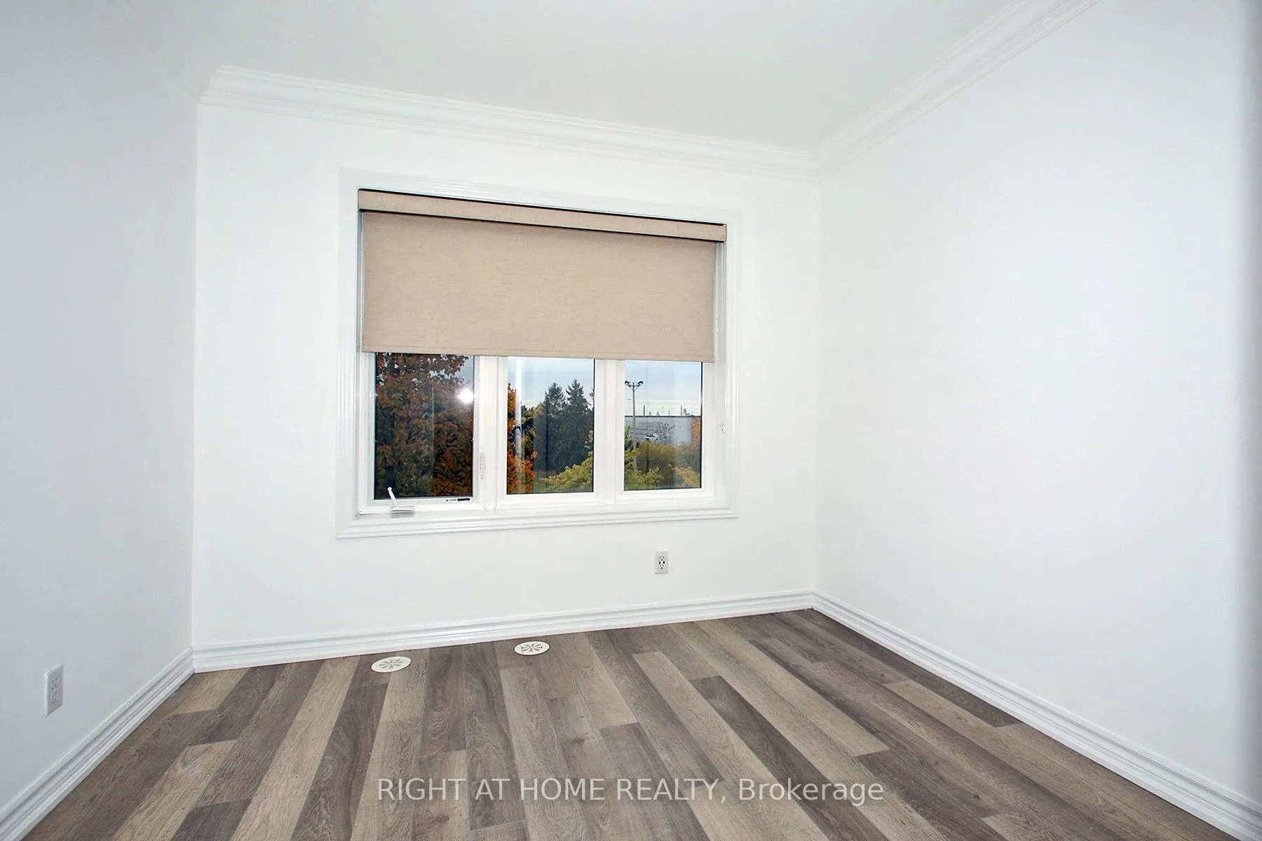 50 Carnation Avenue #147
