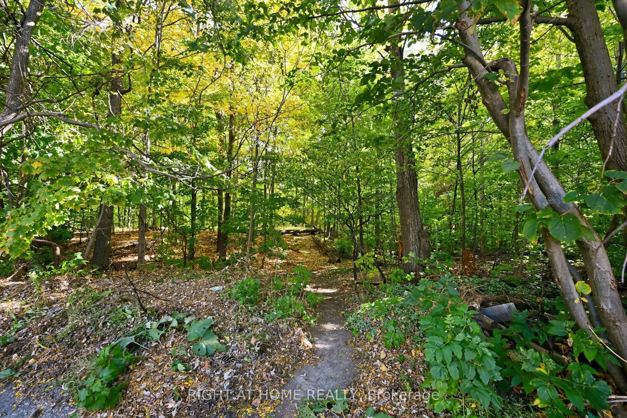 2050 Upper Middle Road #159