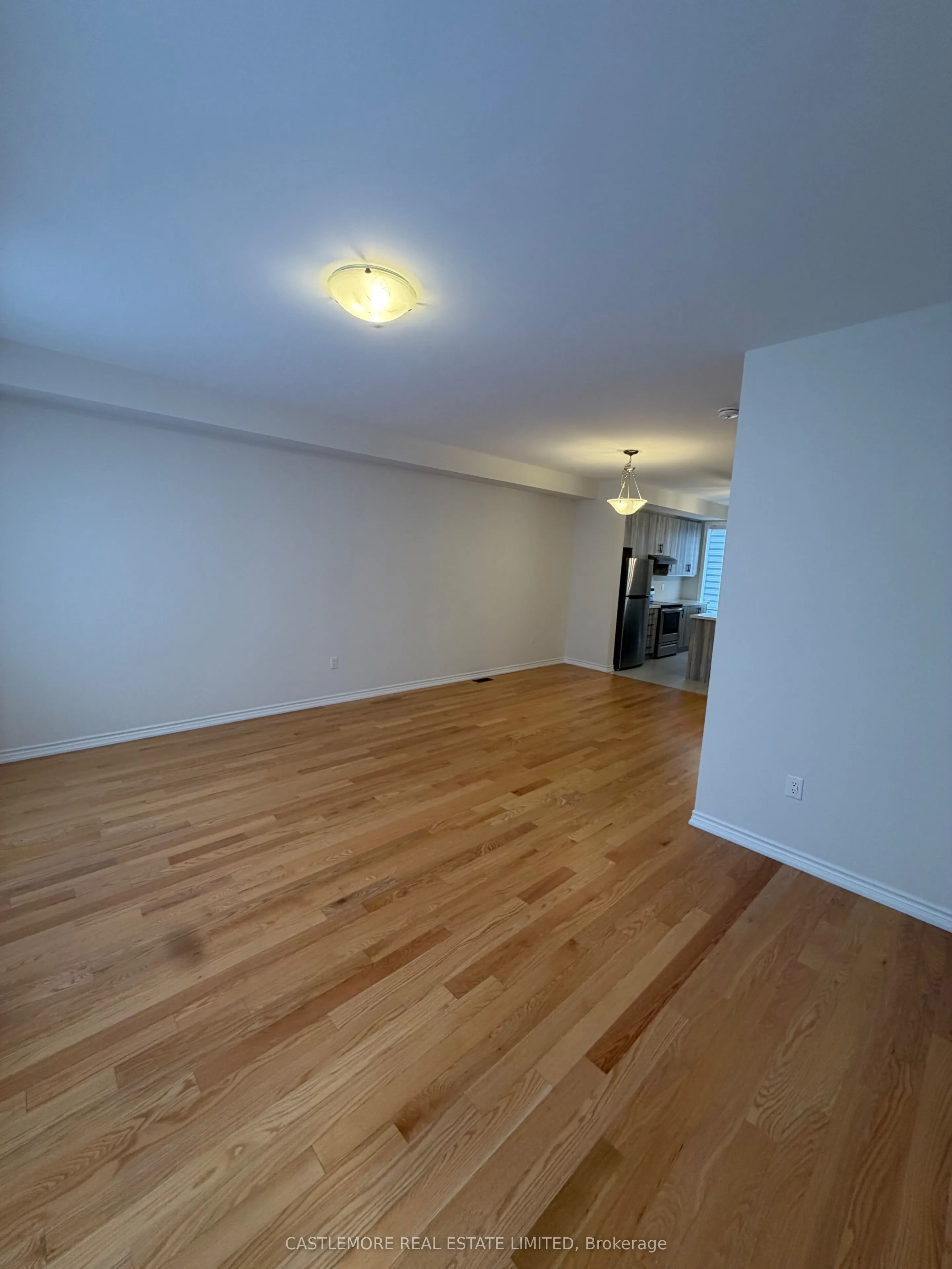 7 Arcola Street