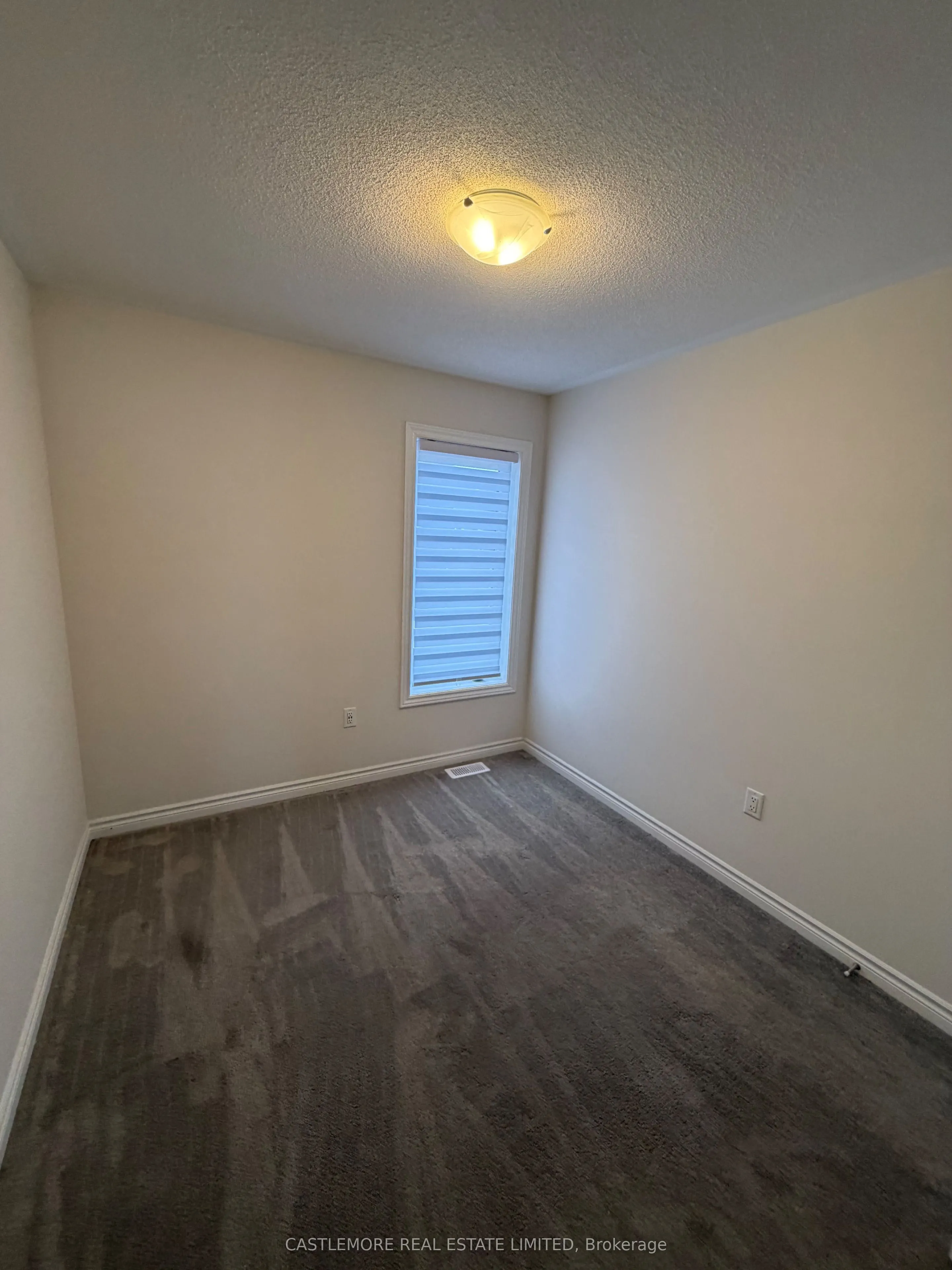 7 Arcola Street
