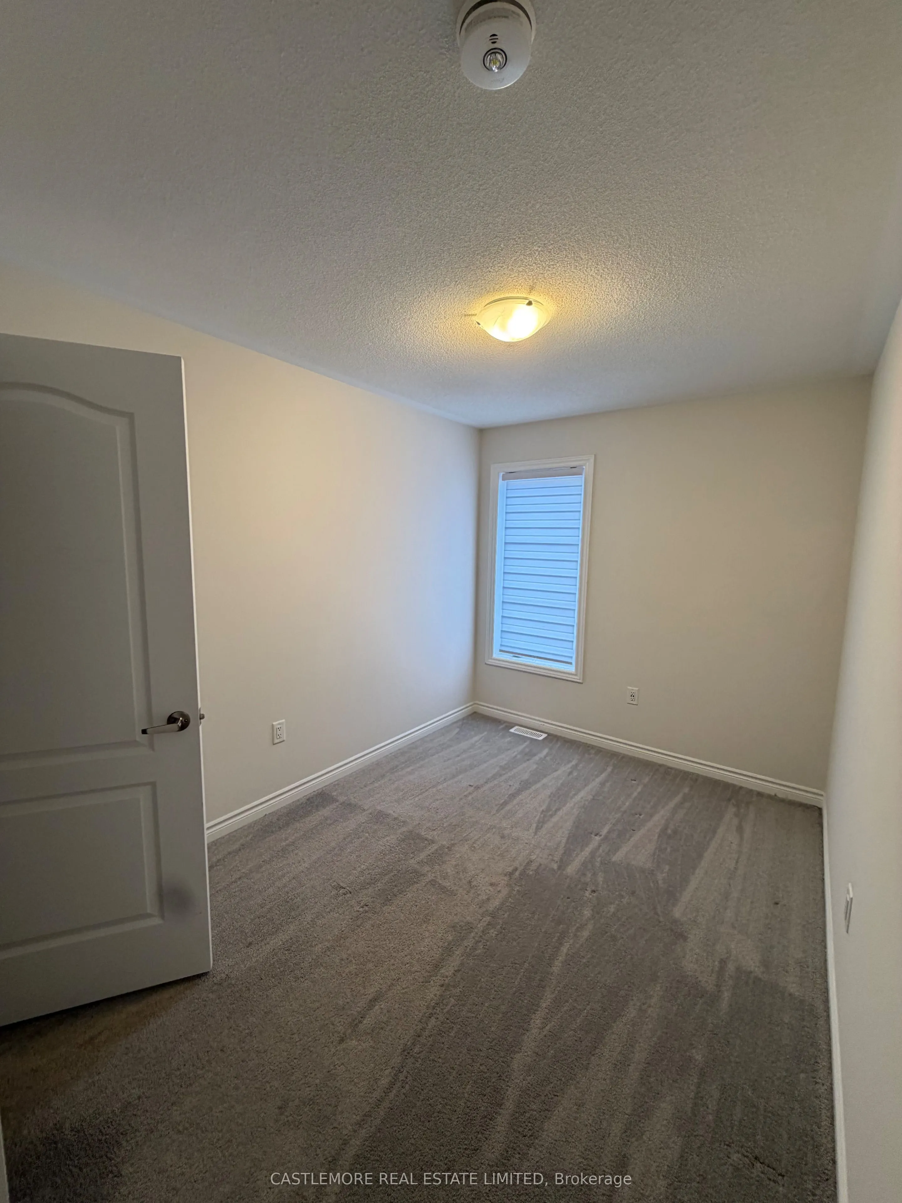 7 Arcola Street