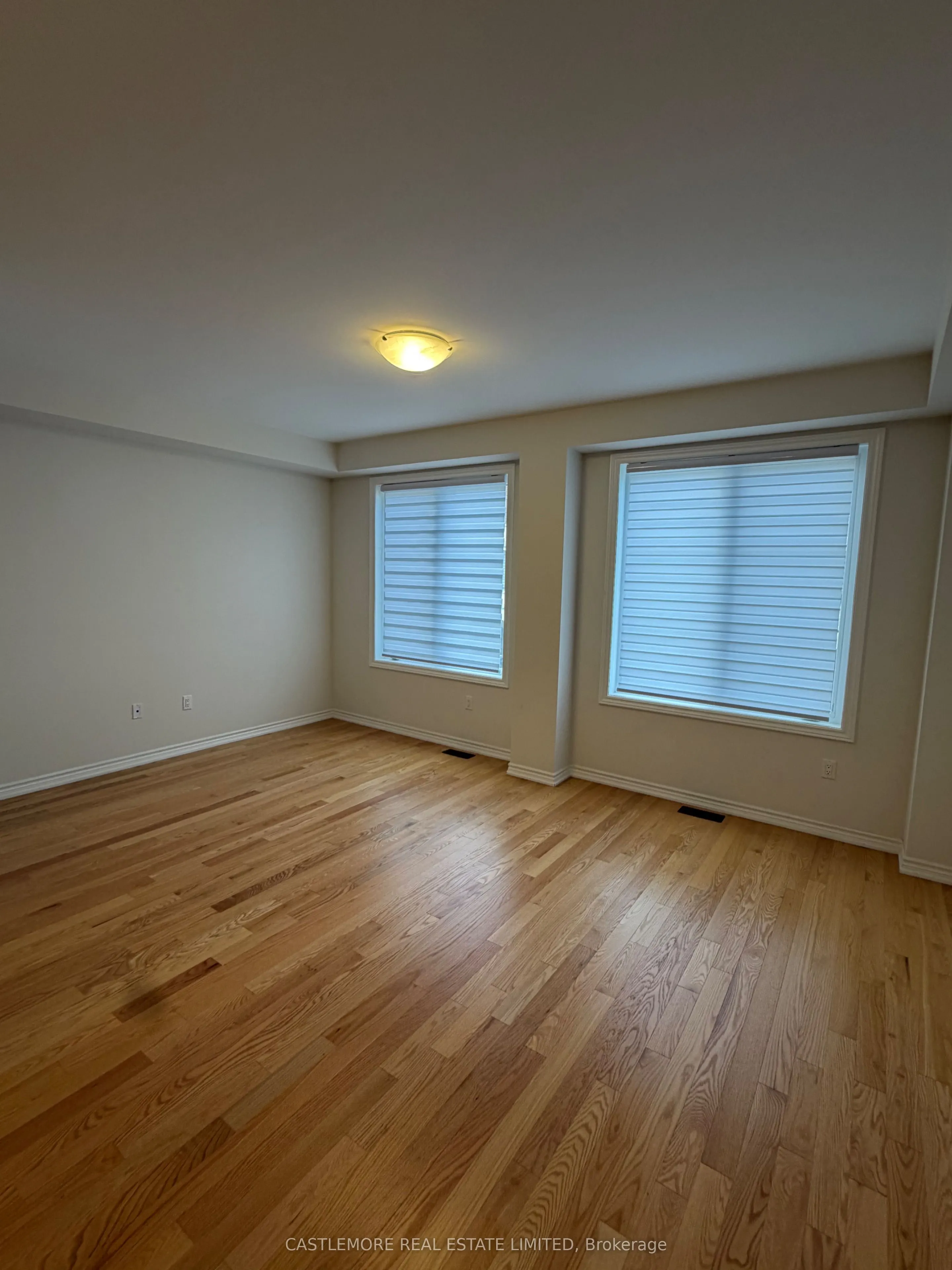 7 Arcola Street