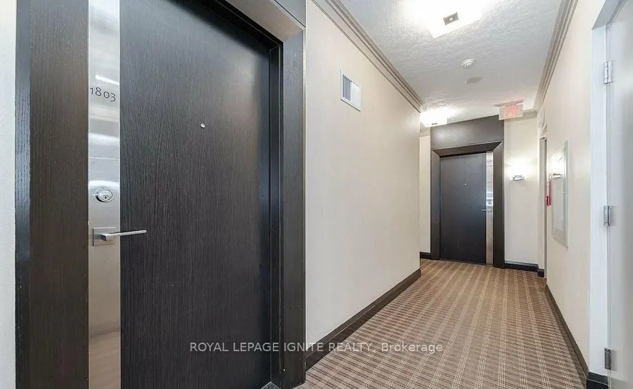 15 Viking Lane #1803