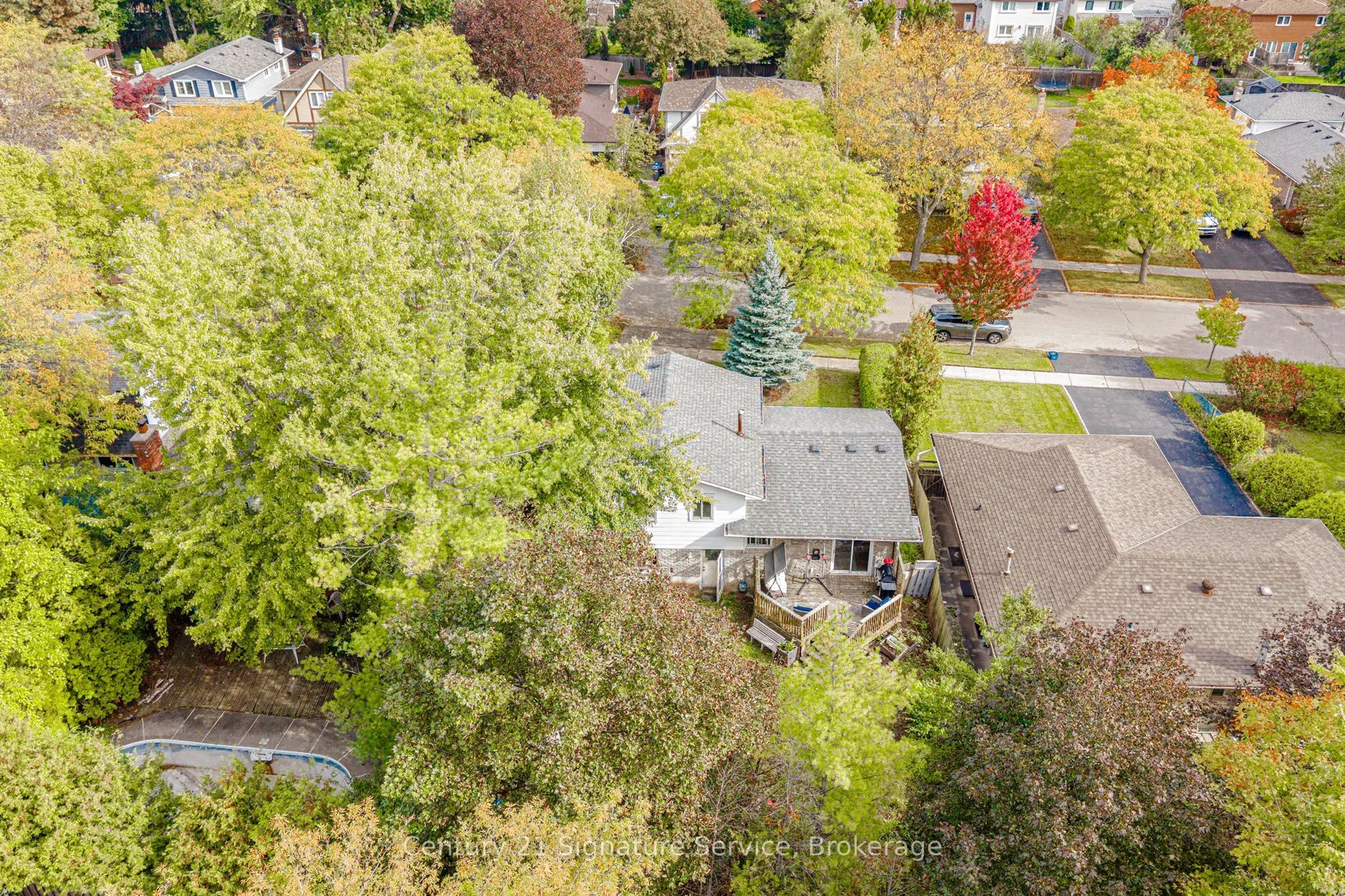 2588 Pinkwell Drive