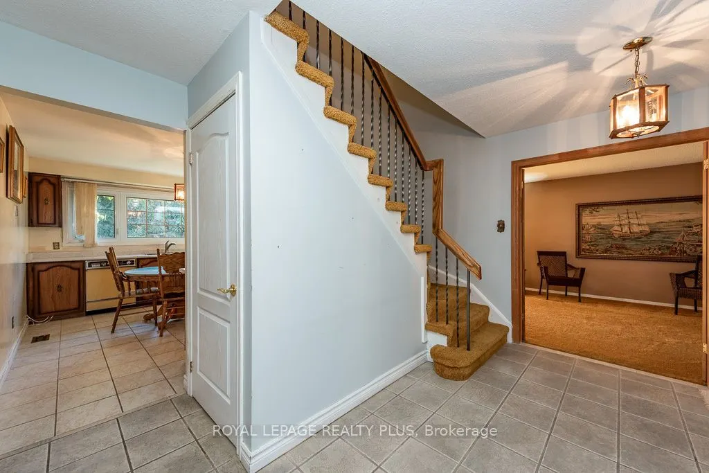19 Macdougall Drive