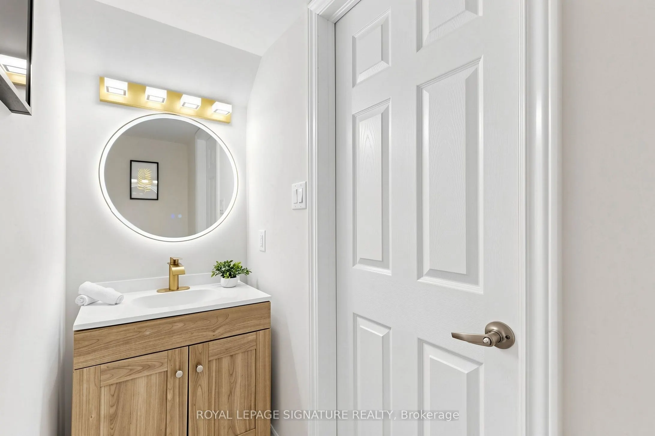 2441 Greenwich Drive #11