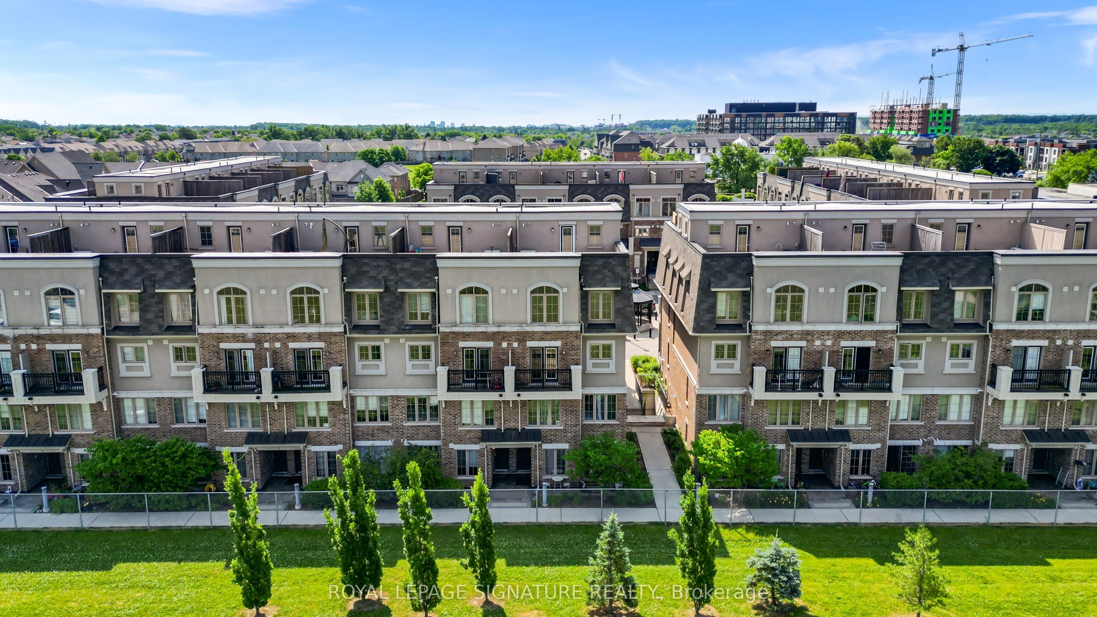 2441 Greenwich Drive #11