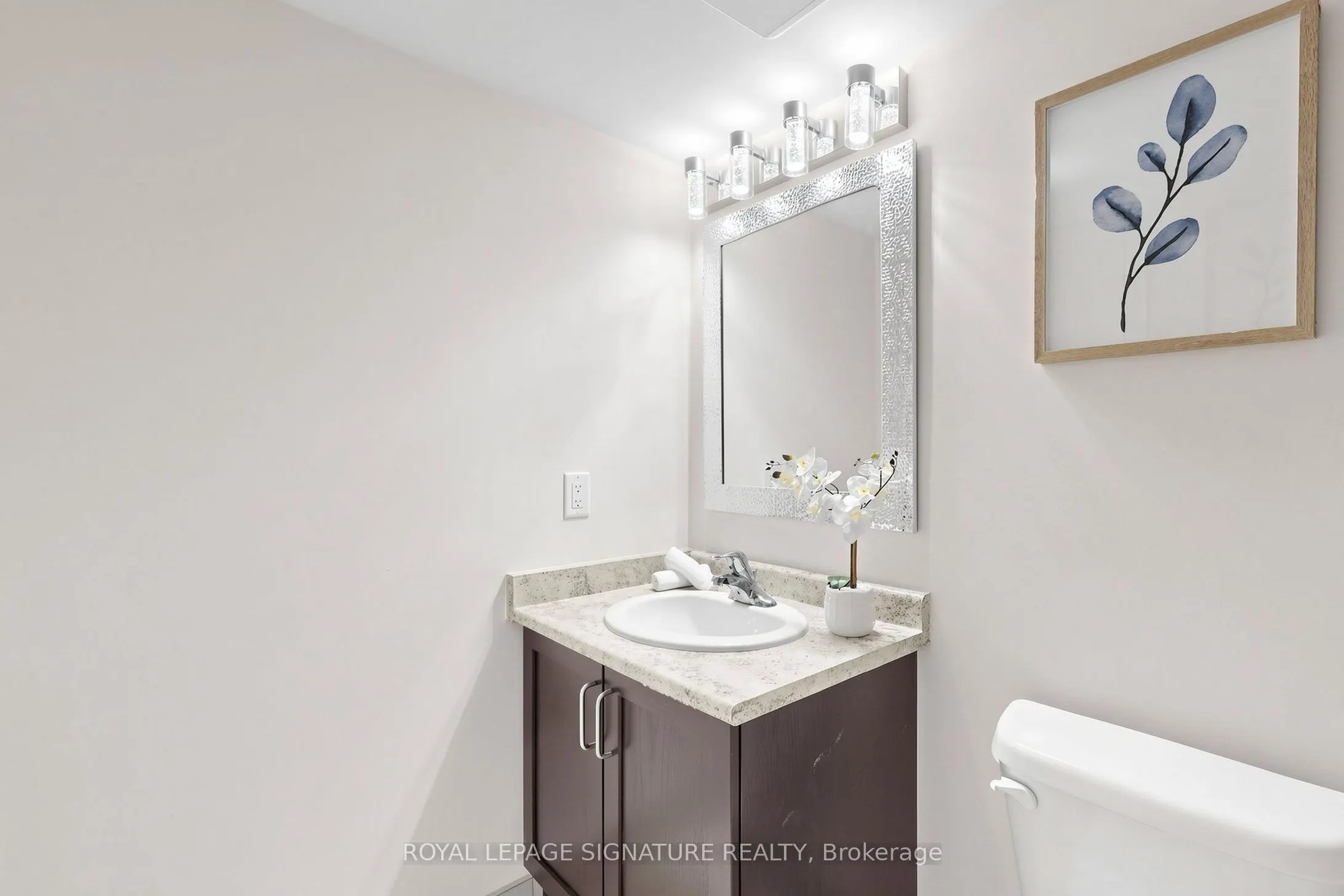 2441 Greenwich Drive #11