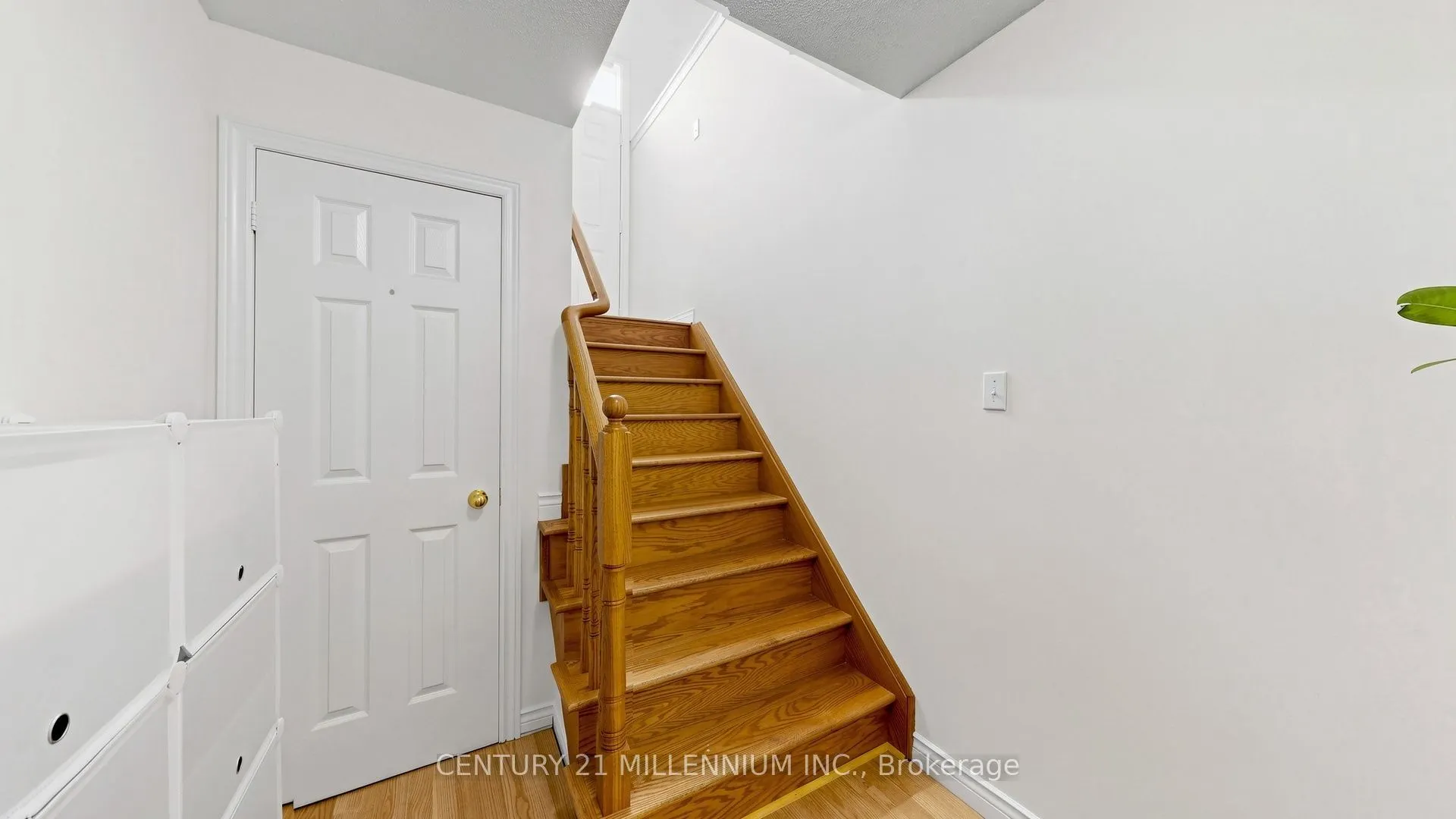 173 Fairhill Avenue