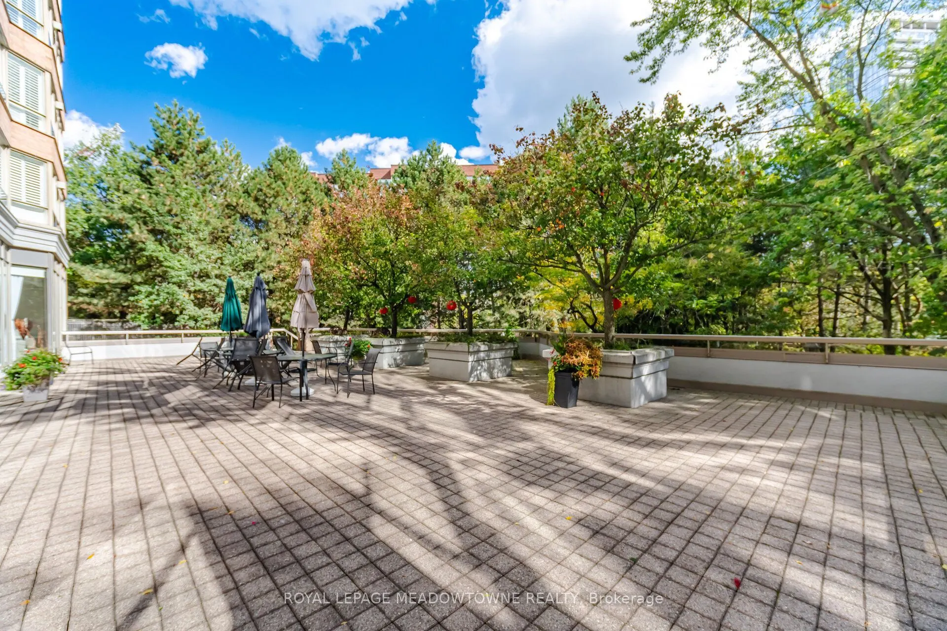 1 Ripley Avenue #816