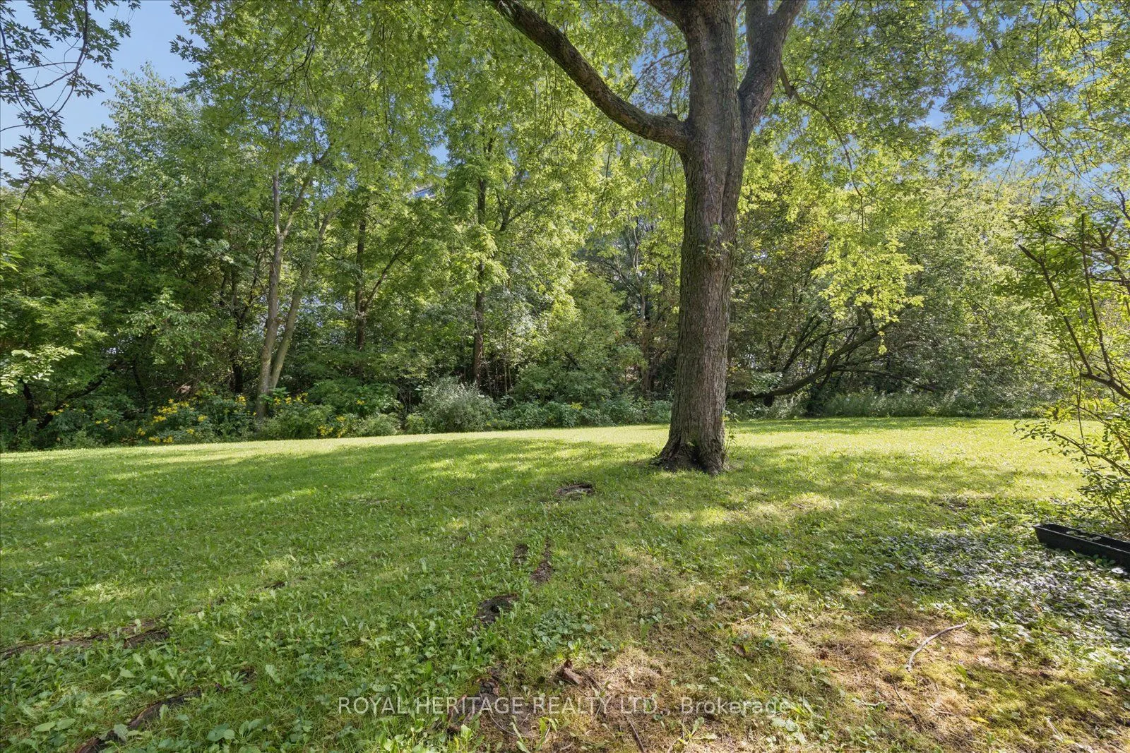 701 Burnhamthorpe Road #105