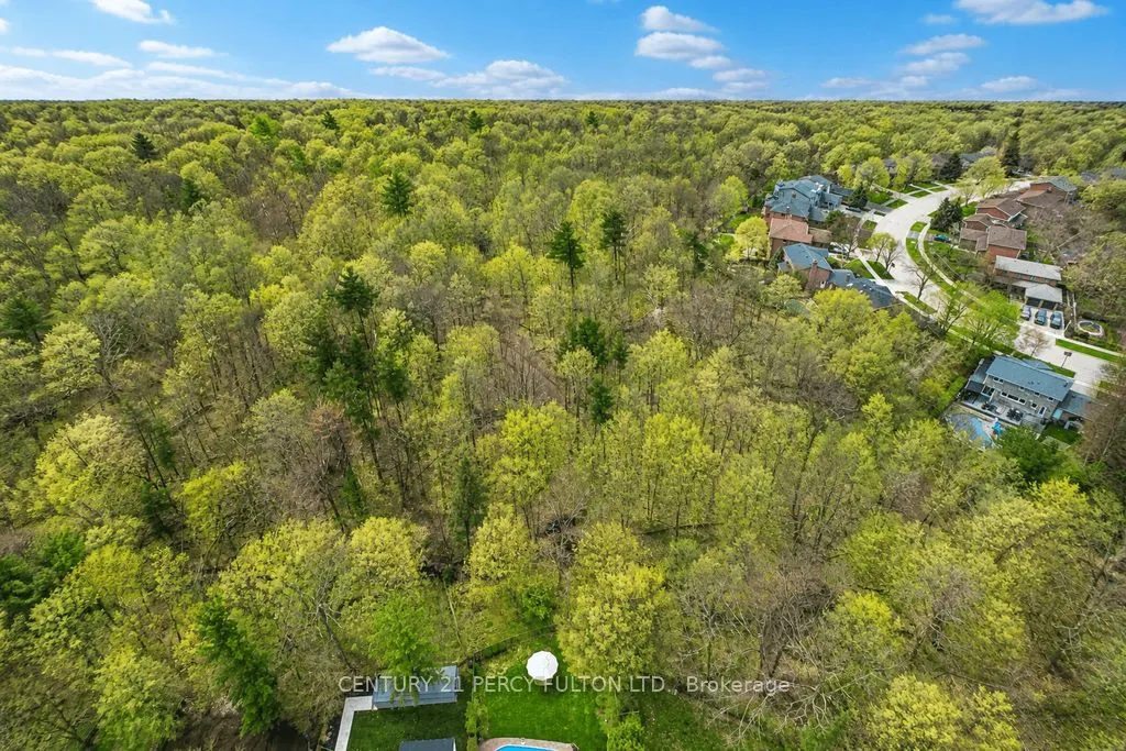 1386 Forest Glade Road