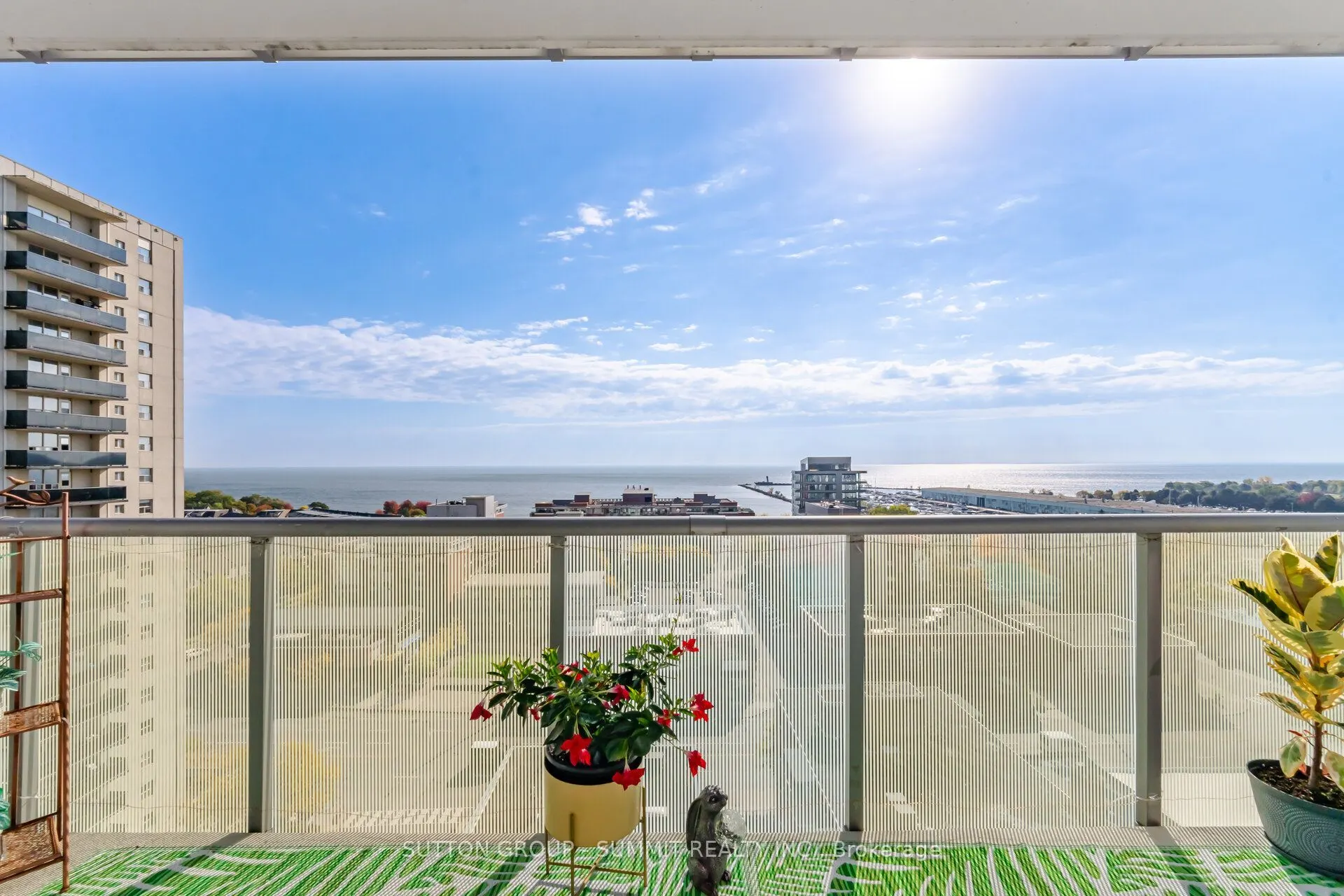 8 Ann Street #1102