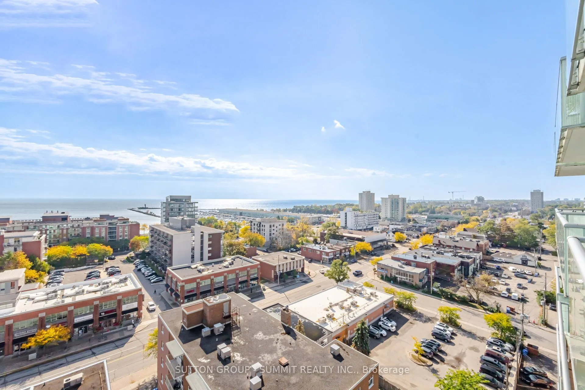 8 Ann Street #1102
