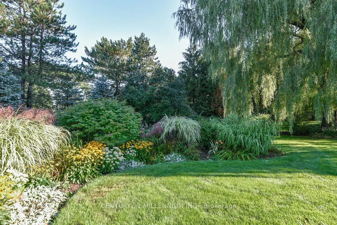 5 Snowberry Court