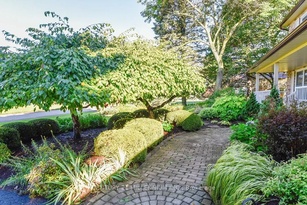5 Snowberry Court