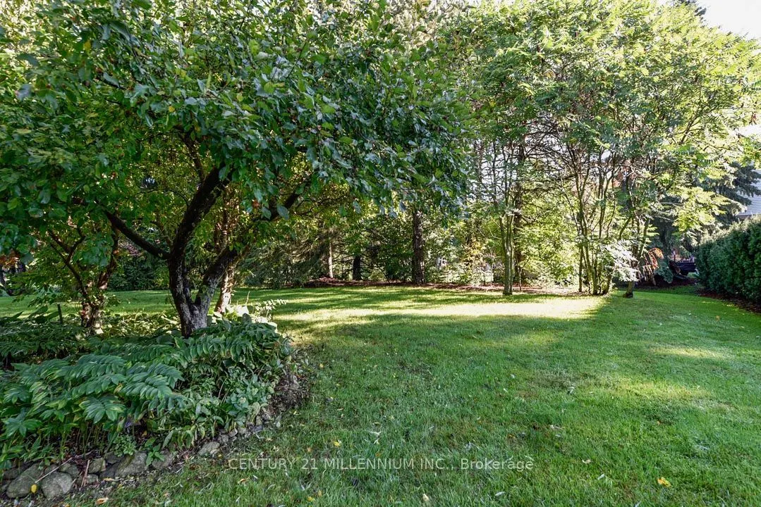 5 Snowberry Court