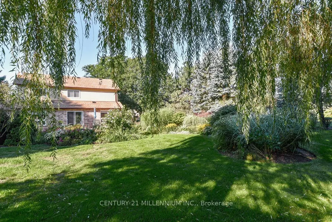 5 Snowberry Court