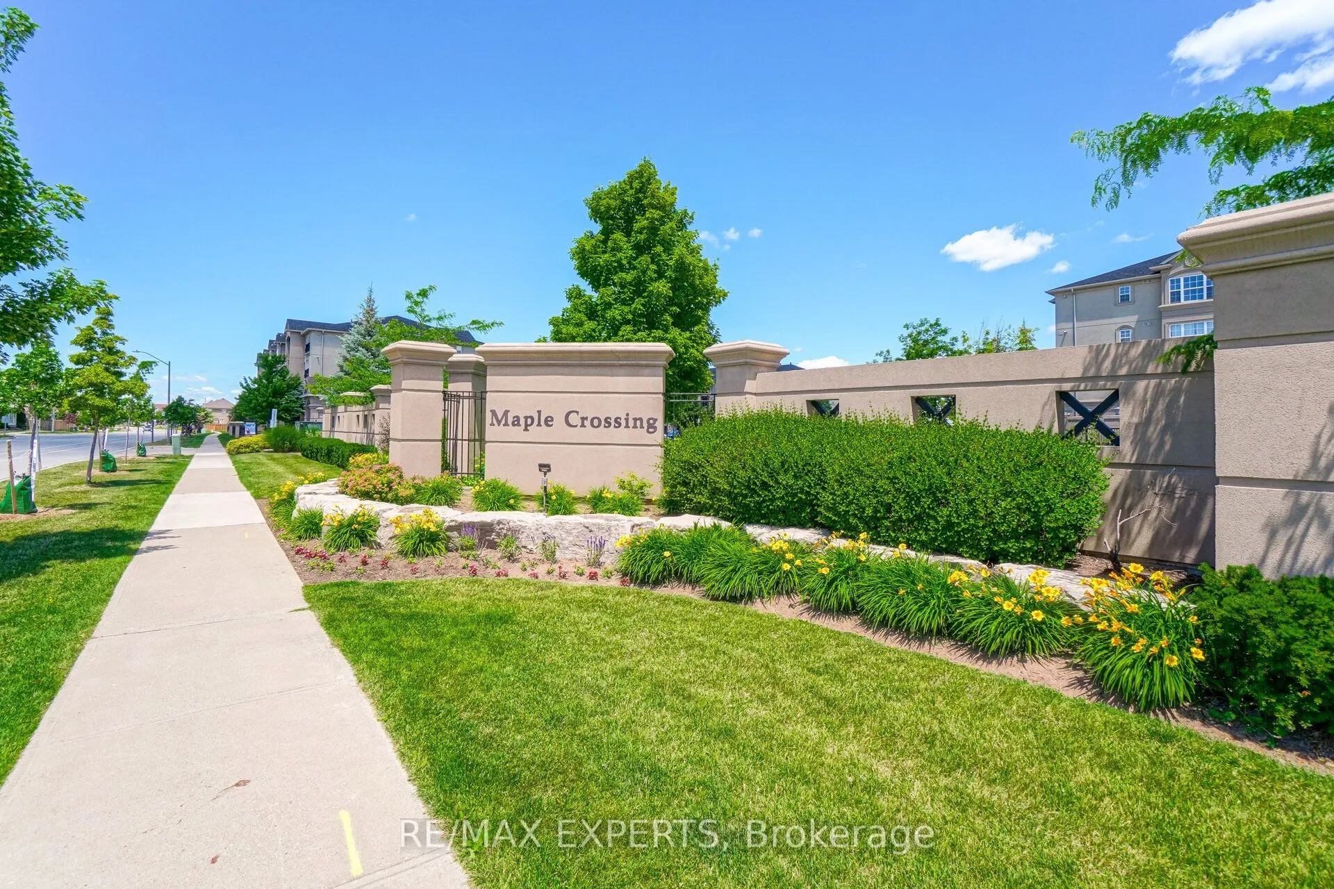 1491 Maple Avenue #206