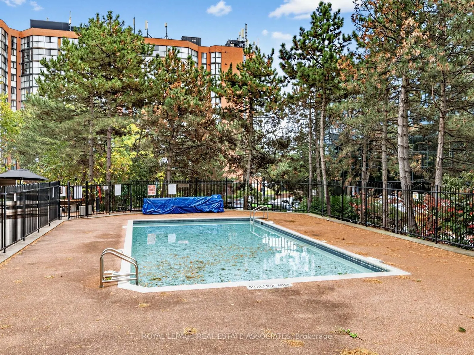 2091 Hurontario Street #504