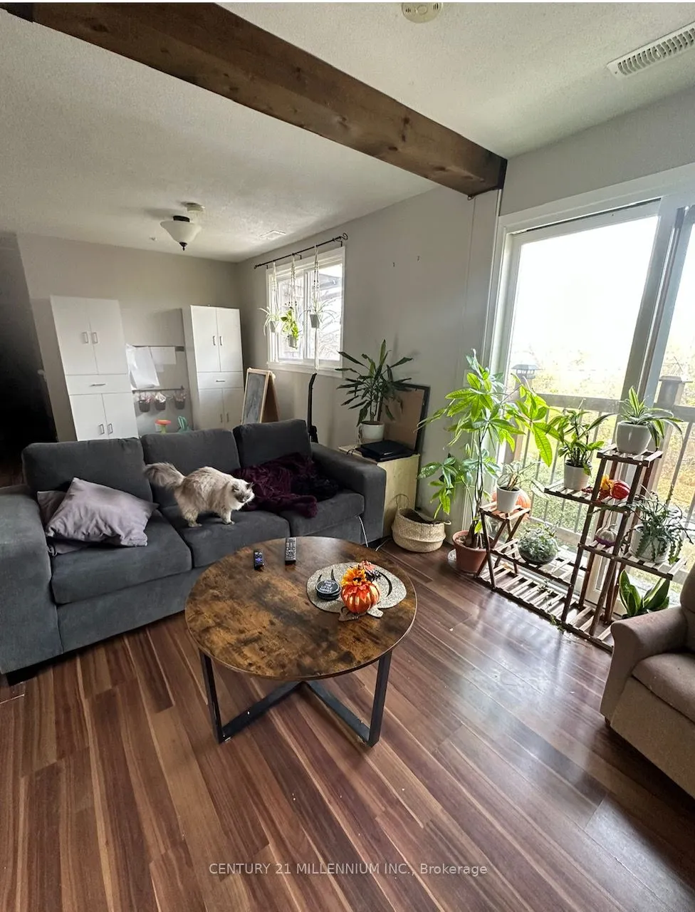1 Hillside Drive #3