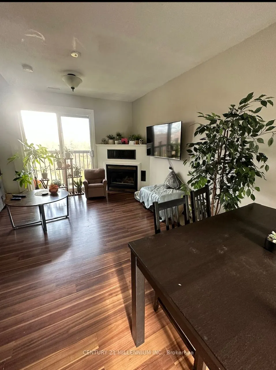1 Hillside Drive #3