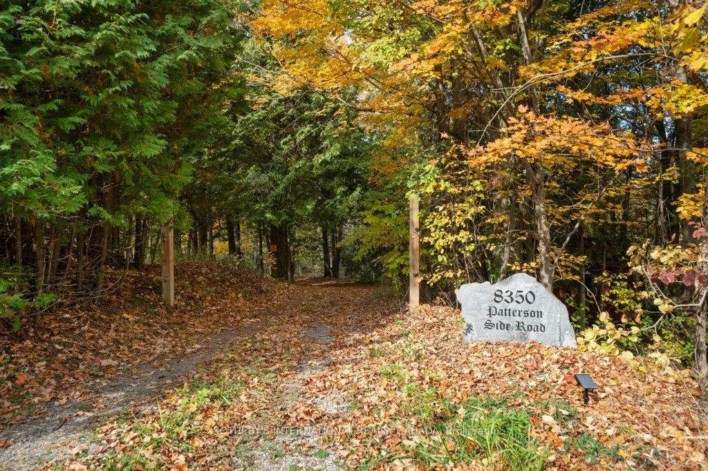 8288 Patterson Side Road