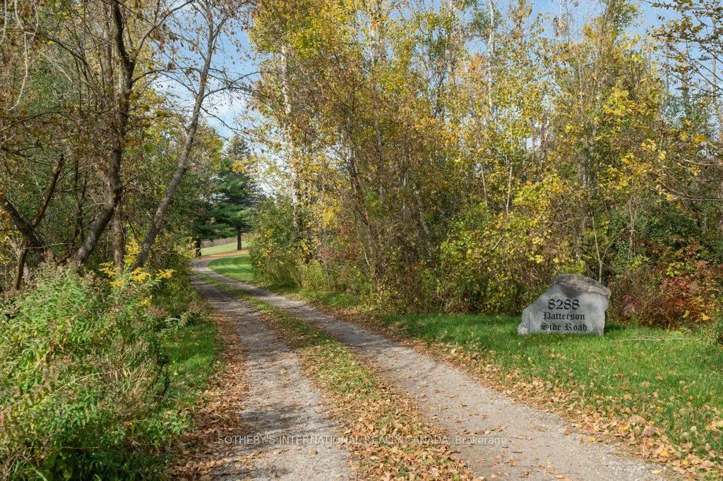 8288 Patterson Side Road