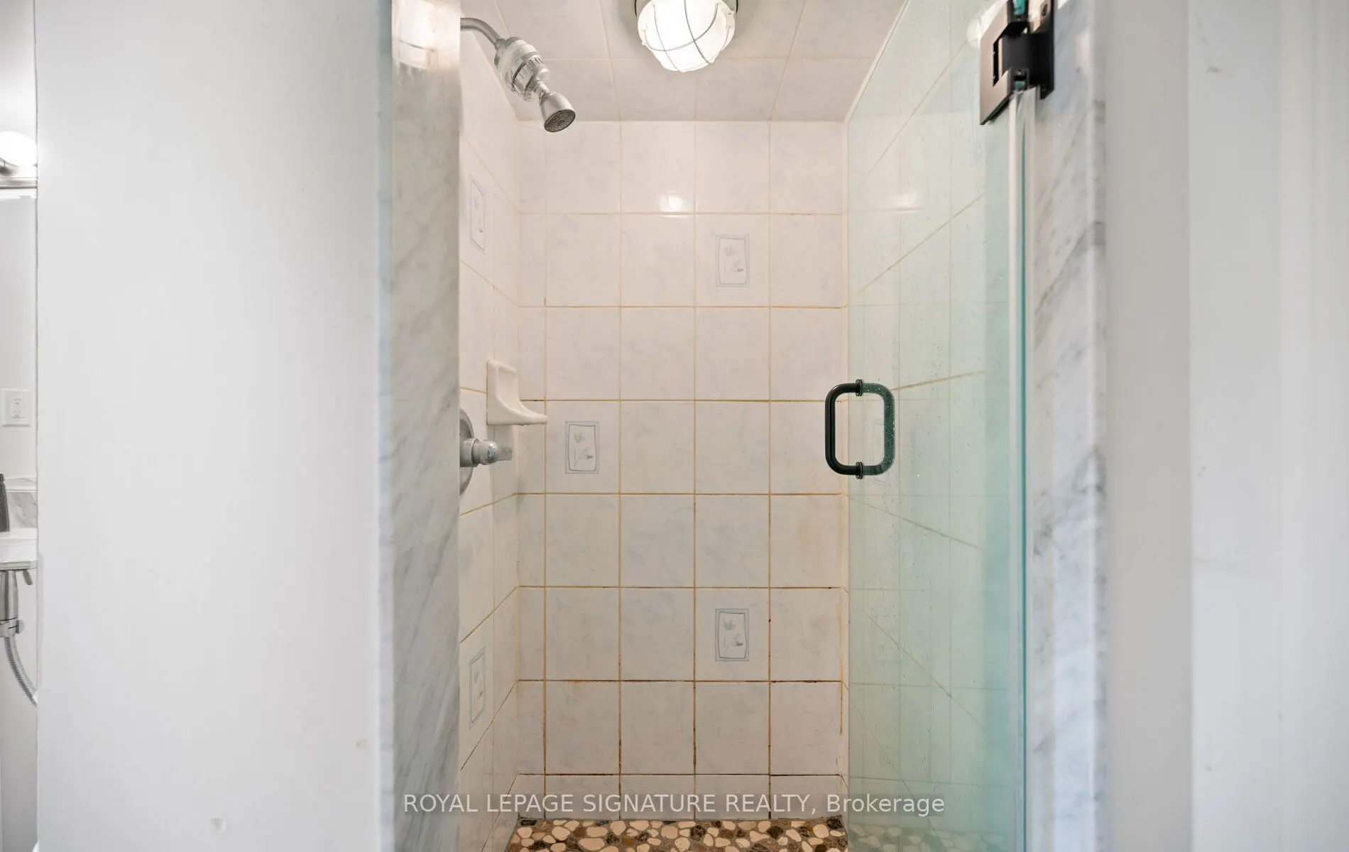 7360 Zinnia Place #36