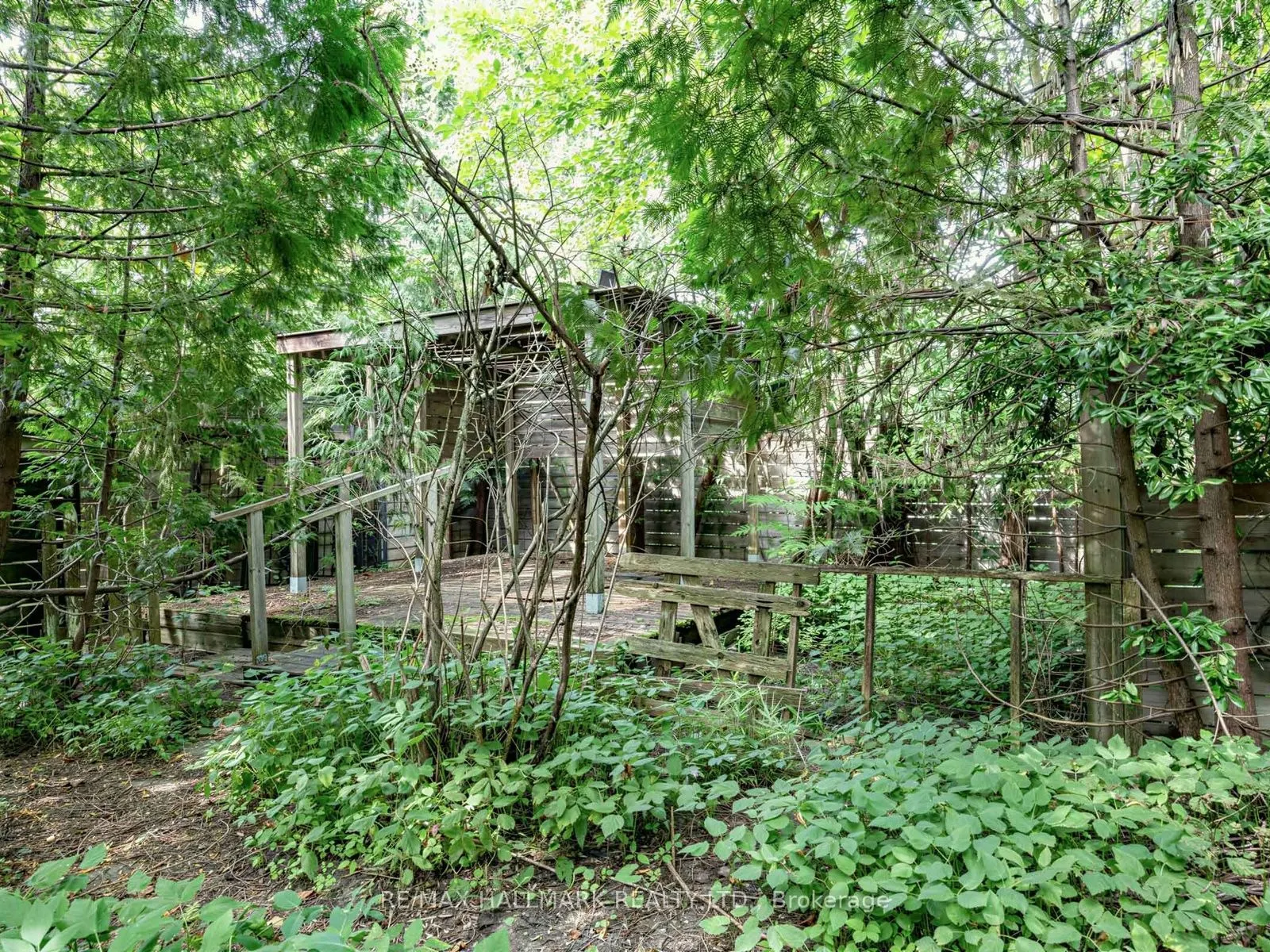 7 Humberview Crescent