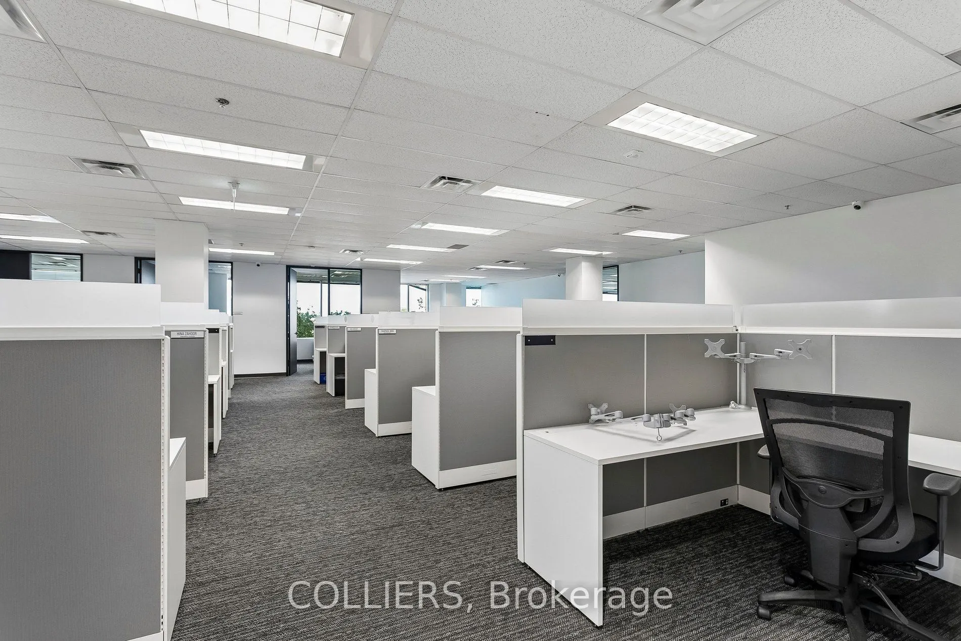 1111 International Boulevard #202