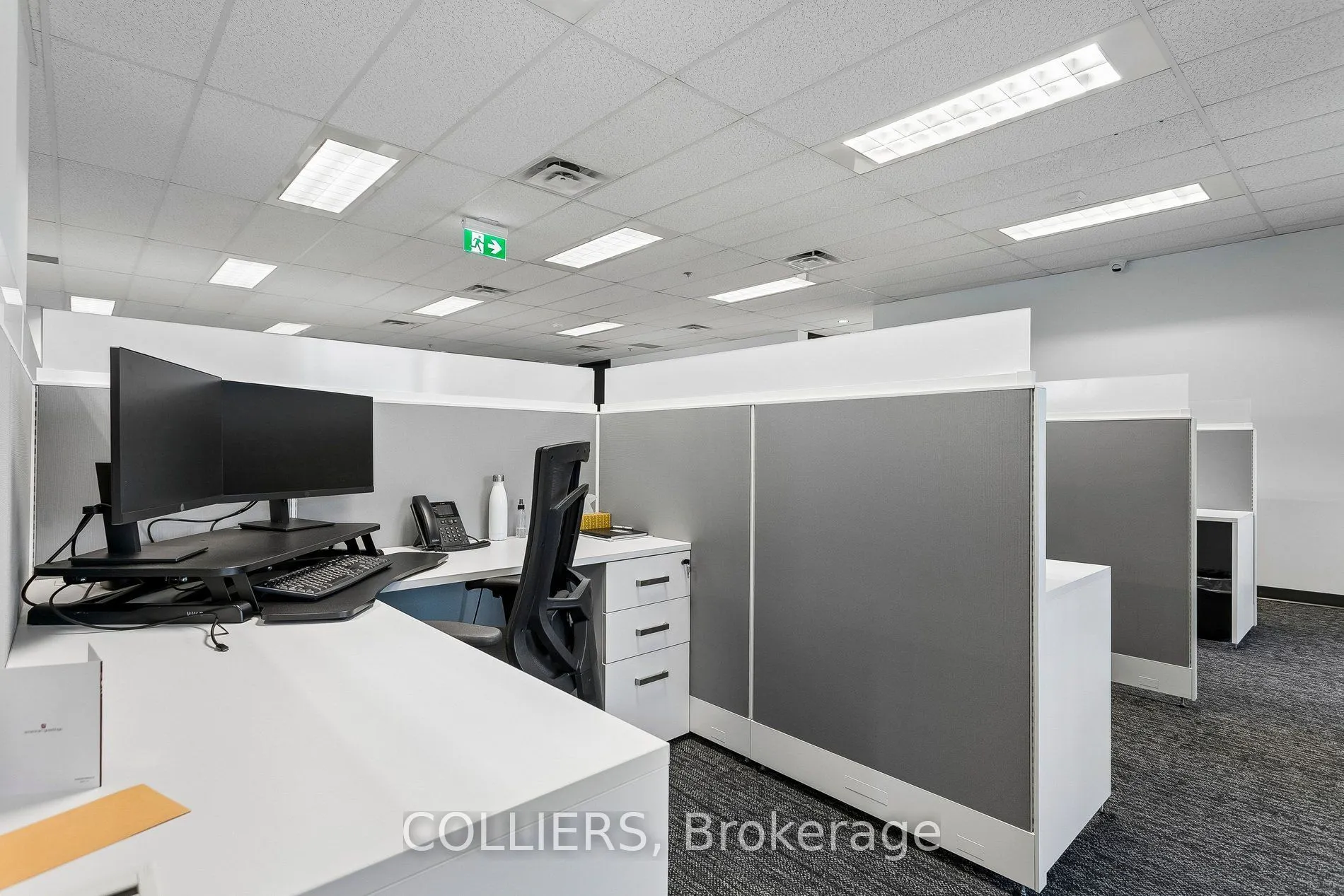 1111 International Boulevard #202