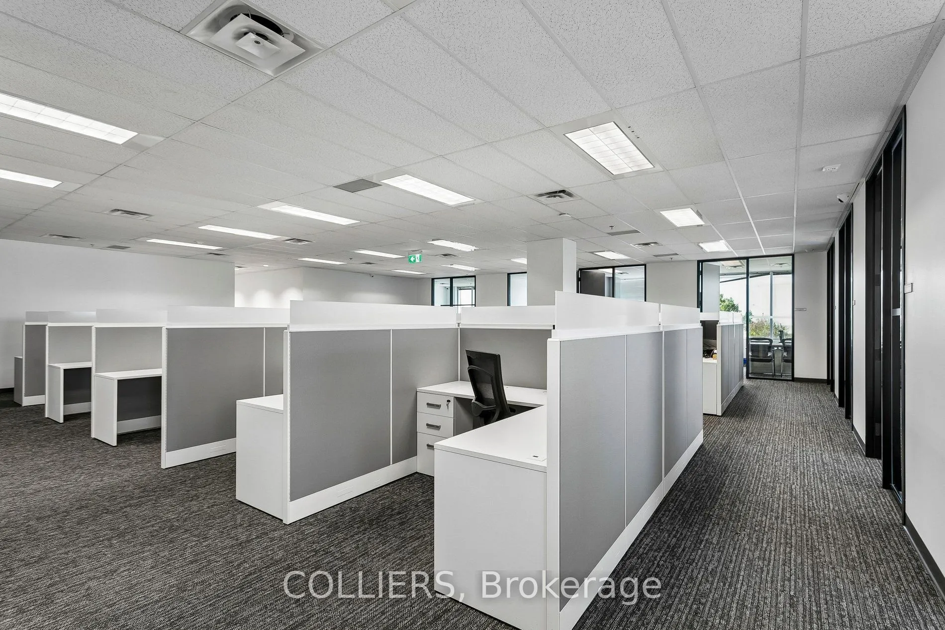 1111 International Boulevard #202