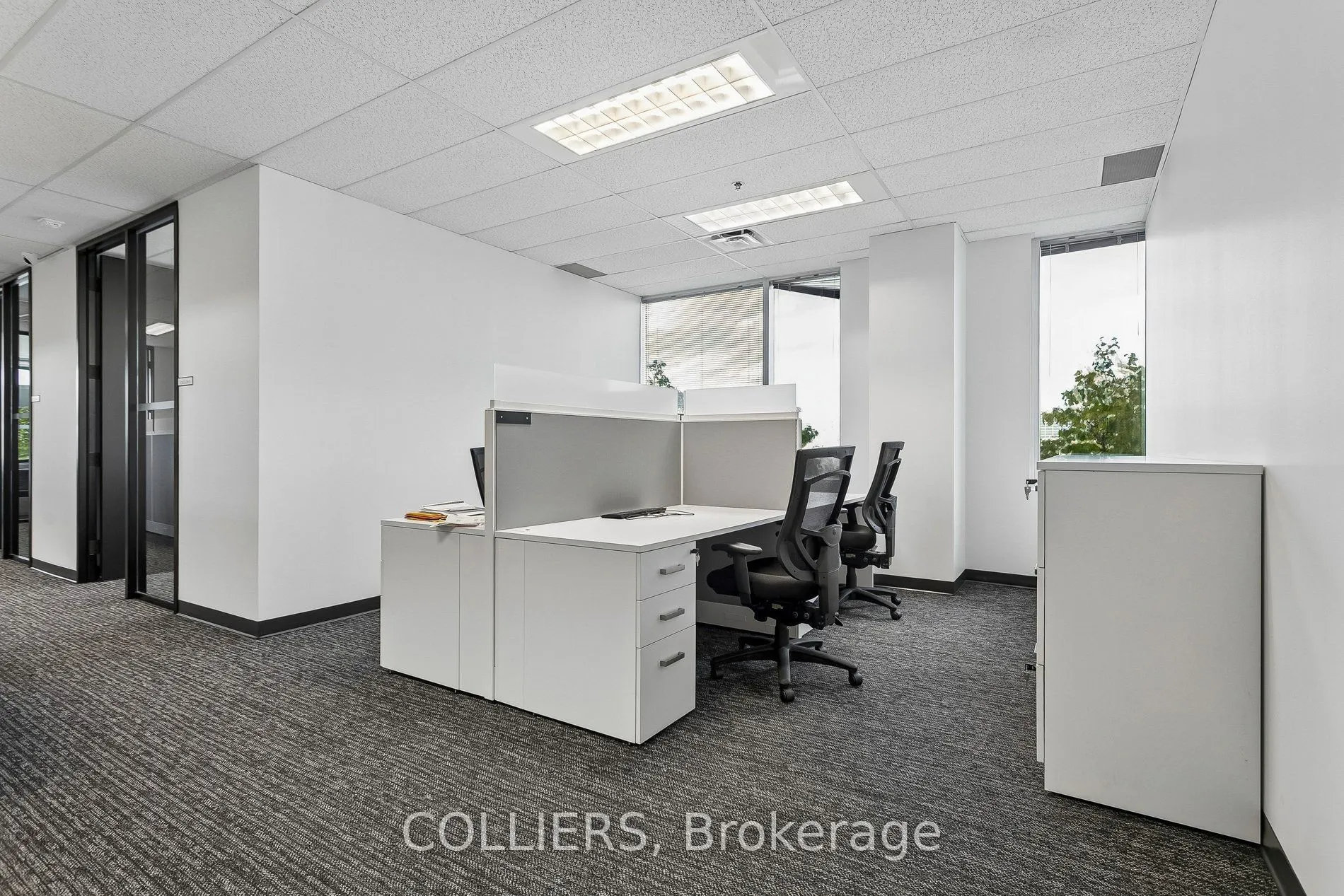 1111 International Boulevard #202