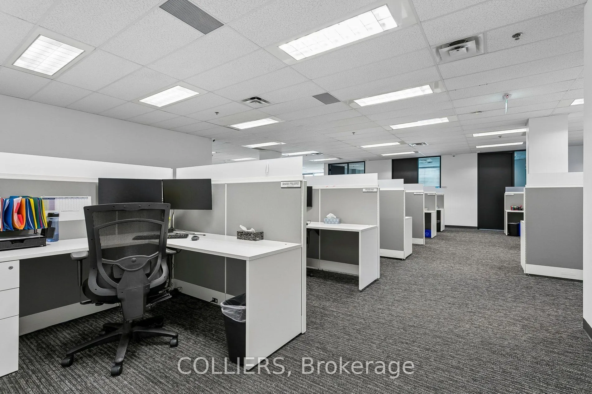 1111 International Boulevard #202