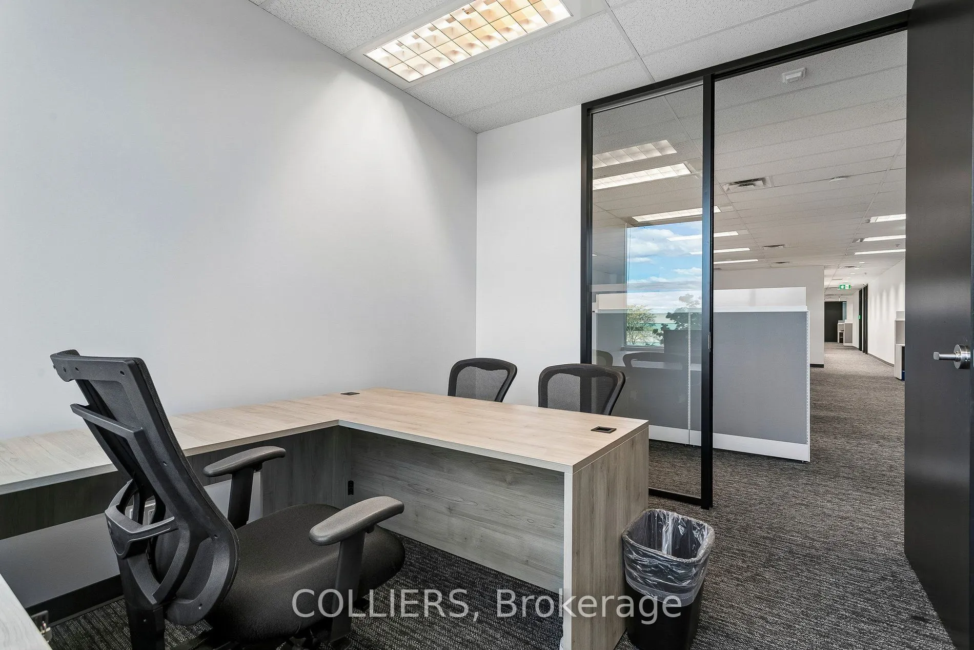 1111 International Boulevard #202