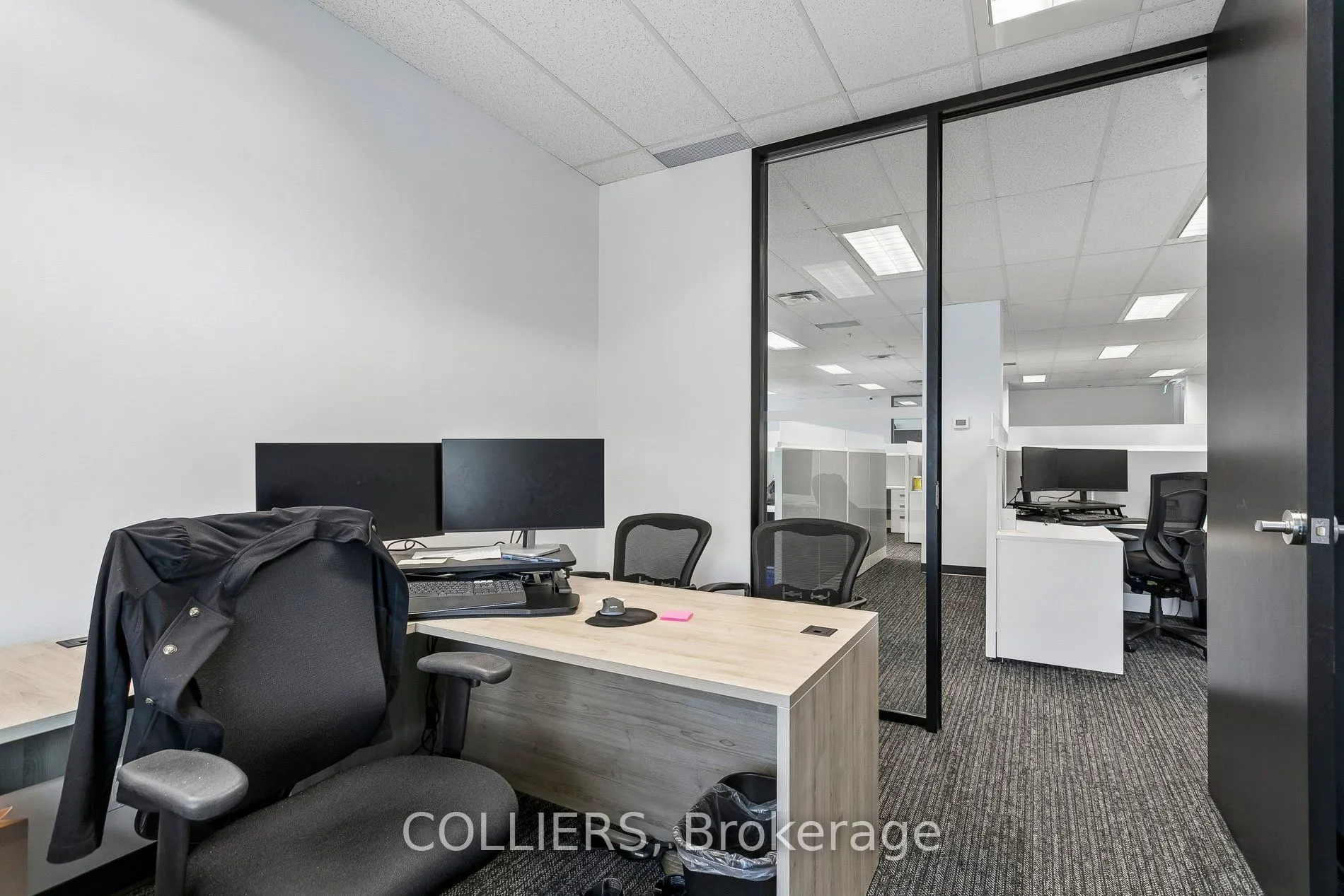 1111 International Boulevard #202
