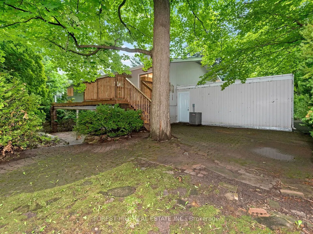 1847 Will Scarlett Drive